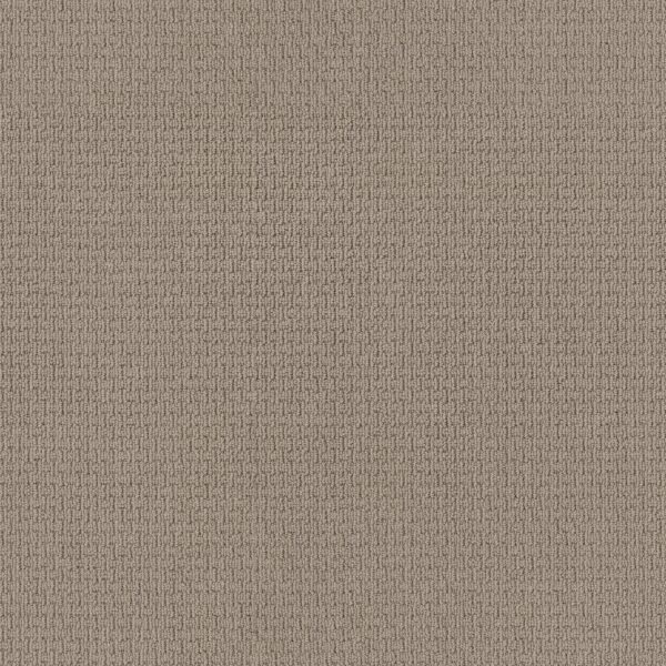 Anderson Tuftex Carpet Casual Life Oyster 00513_Z6812