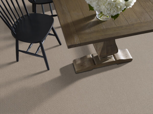 Anderson Tuftex Carpet Casual Life Oyster 00513_Z6812 - Image 2