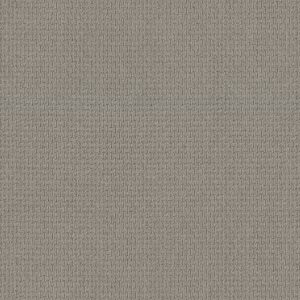 Anderson Tuftex Carpet Casual Life Gray Whisper 00515_Z6812