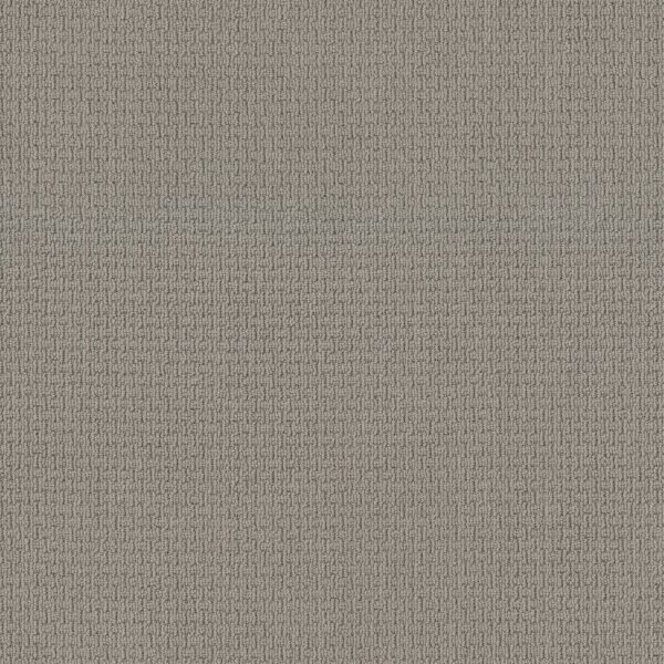 Anderson Tuftex Carpet Casual Life Gray Whisper 00515_Z6812