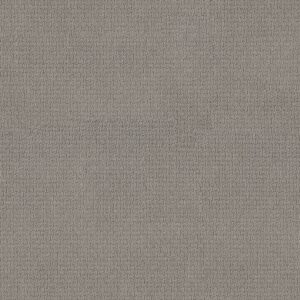 Anderson Tuftex Carpet Casual Life Valley Mist 00523_Z6812
