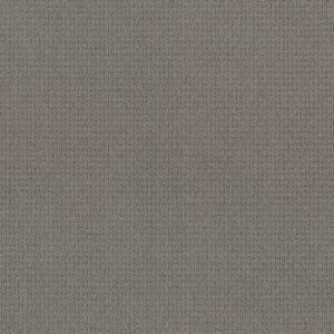 Anderson Tuftex Carpet Casual Life Atmosphere 00535_Z6812