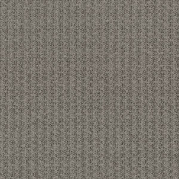 Anderson Tuftex Carpet Casual Life Atmosphere 00535_Z6812