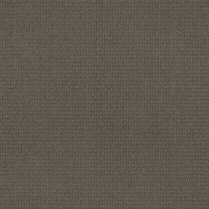 Anderson Tuftex Carpet Casual Life Charcoal 00539_Z6812