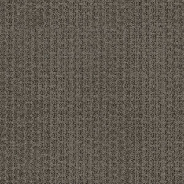 Anderson Tuftex Carpet Casual Life Charcoal 00539_Z6812