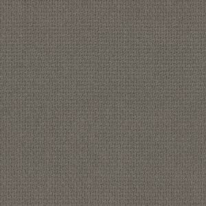 Anderson Tuftex Carpet Casual Life Titanium 00544_Z6812