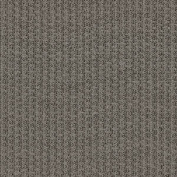 Anderson Tuftex Carpet Casual Life Titanium 00544_Z6812