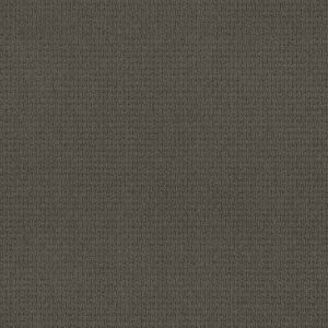 Anderson Tuftex Carpet Casual Life Smoked Pearl 00559_Z6812