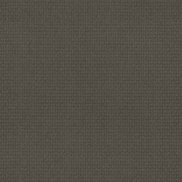 Anderson Tuftex Carpet Casual Life Smoked Pearl 00559_Z6812