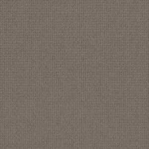 Anderson Tuftex Carpet Casual Life Simply Taupe 00572_Z6812