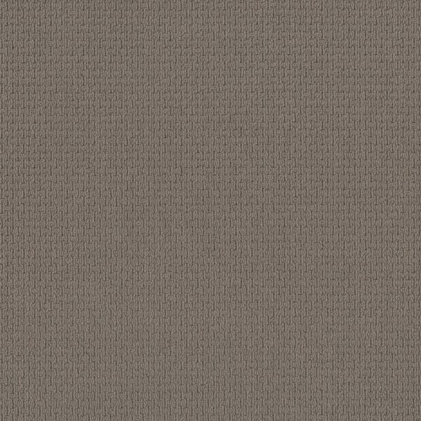 Anderson Tuftex Carpet Casual Life Simply Taupe 00572_Z6812