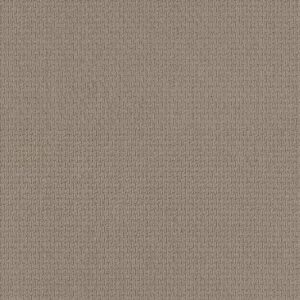 Anderson Tuftex Carpet Casual Life Agate 00712_Z6812