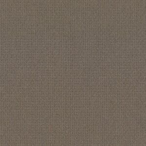 Anderson Tuftex Carpet Casual Life Cottage Stone 00735_Z6812