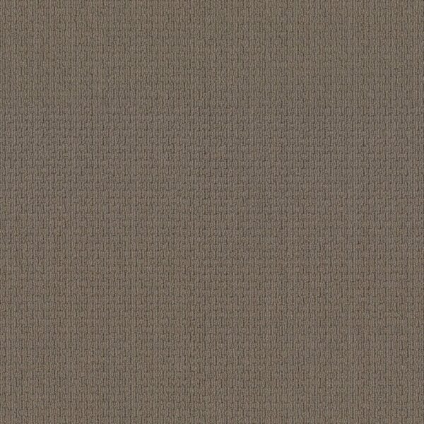 Anderson Tuftex Carpet Casual Life Cottage Stone 00735_Z6812