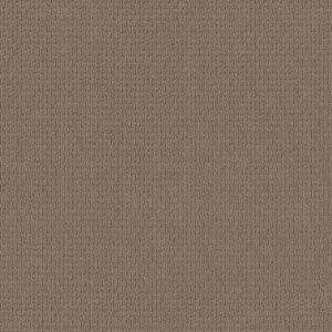 Anderson Tuftex Carpet Casual Life Sable 00754_Z6812
