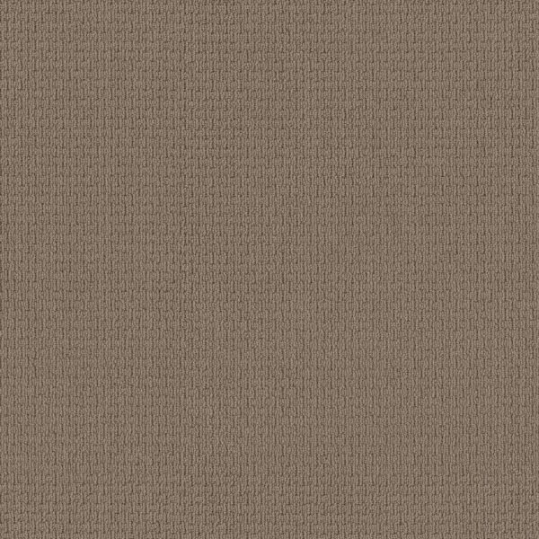 Anderson Tuftex Carpet Casual Life Sable 00754_Z6812
