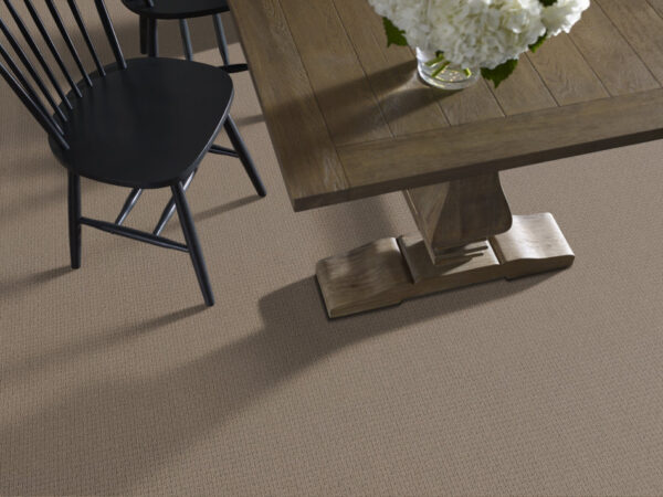 Anderson Tuftex Carpet Casual Life Sable 00754_Z6812 - Image 2