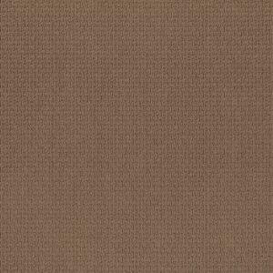 Anderson Tuftex Carpet Casual Life Buckaroo 00773_Z6812