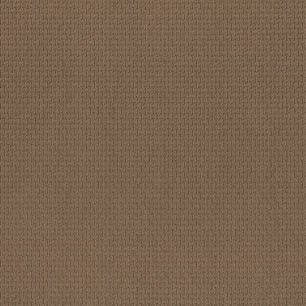 Anderson Tuftex Carpet Casual Life Buckaroo 00773_Z6812