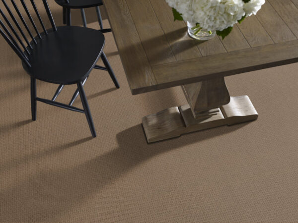 Anderson Tuftex Carpet Casual Life Buckaroo 00773_Z6812 - Image 2