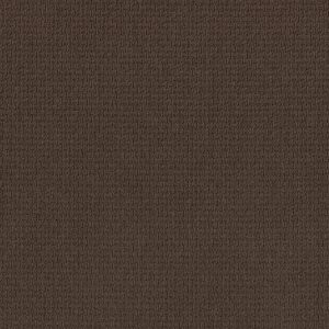 Anderson Tuftex Carpet Casual Life Kola Nut 00776_Z6812