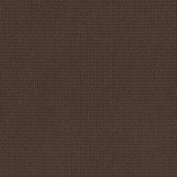 Anderson Tuftex Carpet Casual Life Kola Nut 00776_Z6812