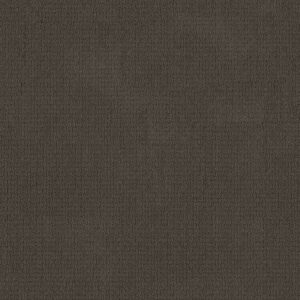 Anderson Tuftex Carpet Casual Life Woodridge 00779_Z6812
