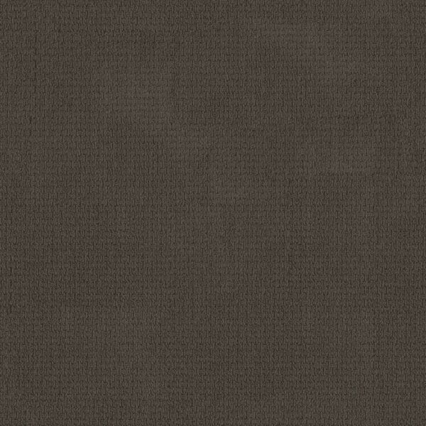 Anderson Tuftex Carpet Casual Life Woodridge 00779_Z6812