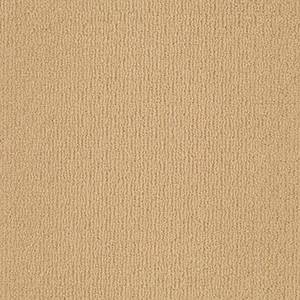Shaw Floors Carpet Casual Mood Moon Glow 00224_Z6820