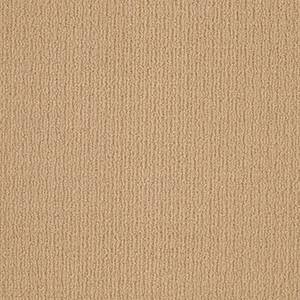 Shaw Floors Carpet Casual Mood Winter Wheat 00724_Z6820