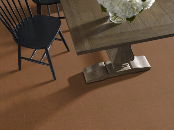 Shaw Floors Carpet Casual Mood Modern Brown 00728_Z6820 - Image 2