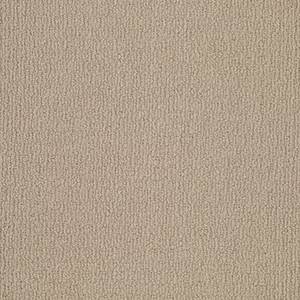 Shaw Floors Carpet Casual Mood Limestone 00732_Z6820