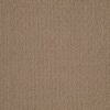 Shaw Floors Carpet Casual Mood Saddle Blanket 00734_Z6820