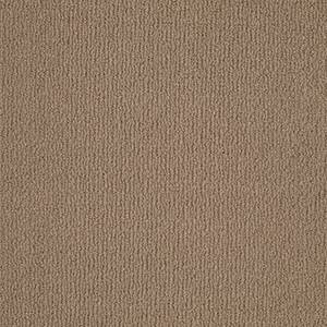 Shaw Floors Carpet Casual Mood Saddle Blanket 00734_Z6820