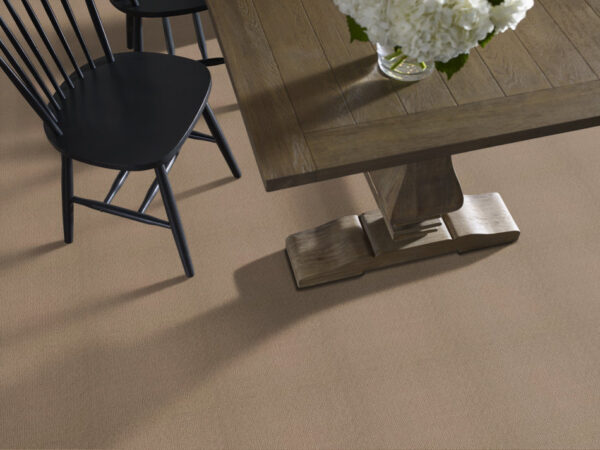 Shaw Floors Carpet Casual Mood Saddle Blanket 00734_Z6820 - Image 2
