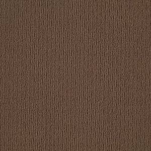 Shaw Floors Carpet Casual Mood Hiking Trail 00737_Z6820