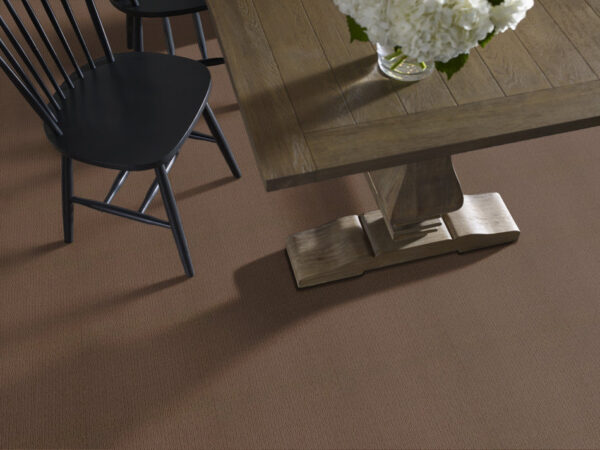Shaw Floors Carpet Casual Mood Hiking Trail 00737_Z6820 - Image 2