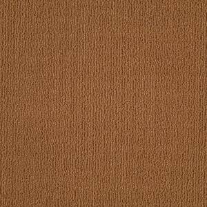 Shaw Floors Carpet Casual Mood Sun Baked 00767_Z6820