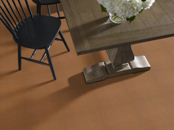 Shaw Floors Carpet Casual Mood Sun Baked 00767_Z6820 - Image 2