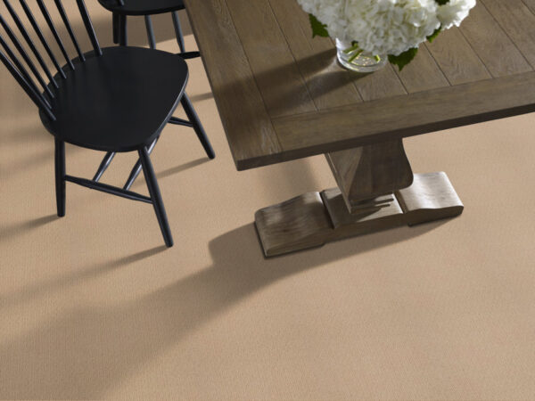 Shaw Floors Carpet Casual Mood Baguette 00772_Z6820 - Image 2