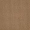Shaw Floors Carpet Casual Mood Boardwalk 00775_Z6820