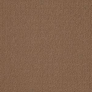 Shaw Floors Carpet Casual Mood Country Road 00777_Z6820