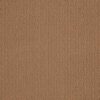 Shaw Floors Carpet Casual Mood Molasses 00783_Z6820