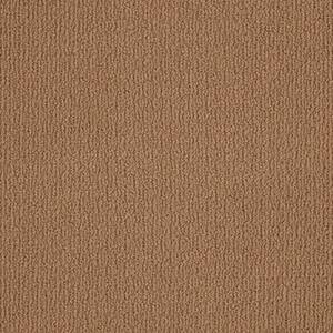 Shaw Floors Carpet Casual Mood Molasses 00783_Z6820