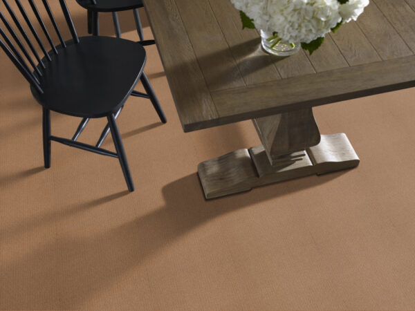 Shaw Floors Carpet Casual Mood Molasses 00783_Z6820 - Image 2