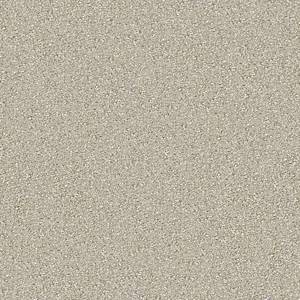 Anderson Tuftex Carpet On Point Raffia 00112_ZZ012