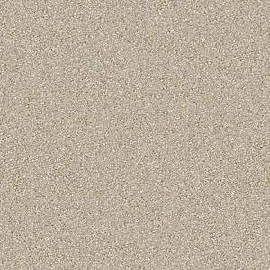 Anderson Tuftex Carpet On Point Sandpiper 00212_ZZ012