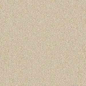 Anderson Tuftex Carpet On Point Mimosa 00222_ZZ012
