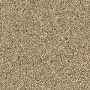 Anderson Tuftex Carpet On Point Gilt 00223_ZZ012