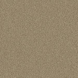 Anderson Tuftex Carpet On Point Suede 00714_ZZ012